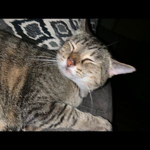 Meet your Posher, Heather